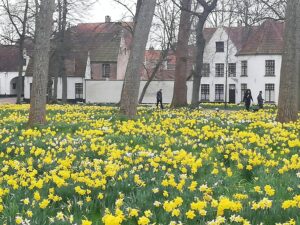 IMG_20230320_115011