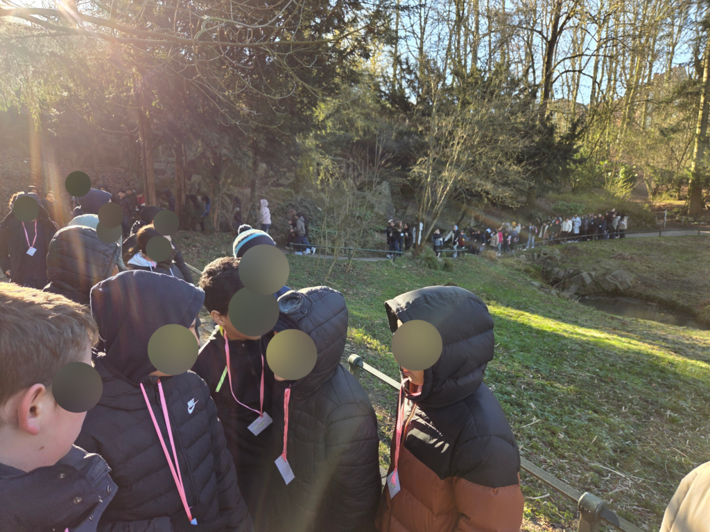Une marche parrainée sous le signe de la solidarité et du soleil ! 3 20250318 091104 scrubbed