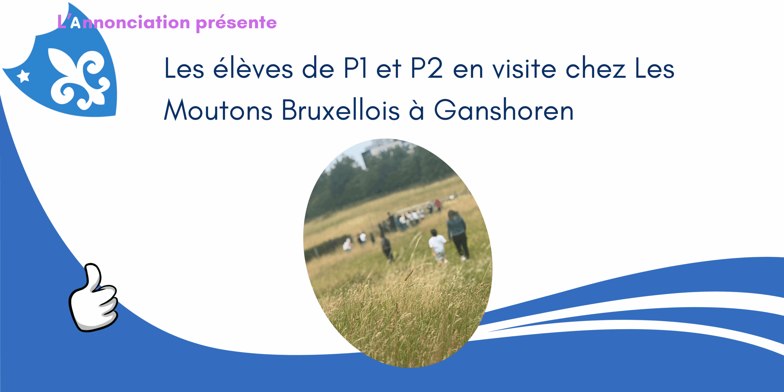 Les élèves de P1 et P2 de l'Institut de l'Annonciation en visite chez Les Moutons Bruxellois à Ganshoren 1 Banniere bergerie scaled