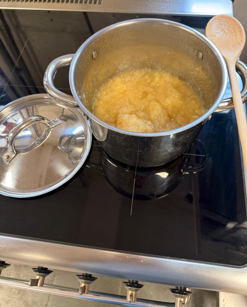 À la découverte des pommes 🍎🔍 3 cuisson des pommes scrubbed