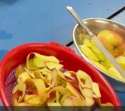 À la découverte des pommes 🍎🔍 6 peau de la pomme scrubbed